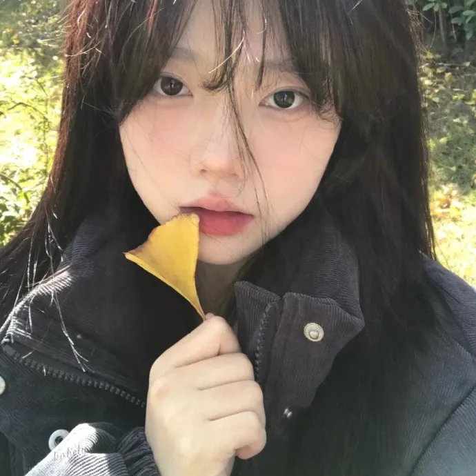 最好的雪