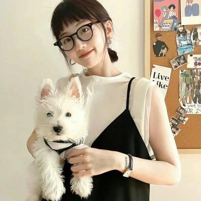 车在囧途